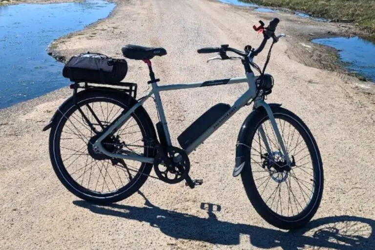 Rad Power Bikes electric bike outdoors