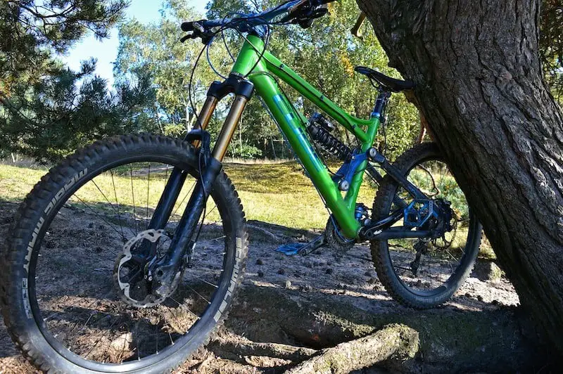 Mountain Bike Resting On Tree