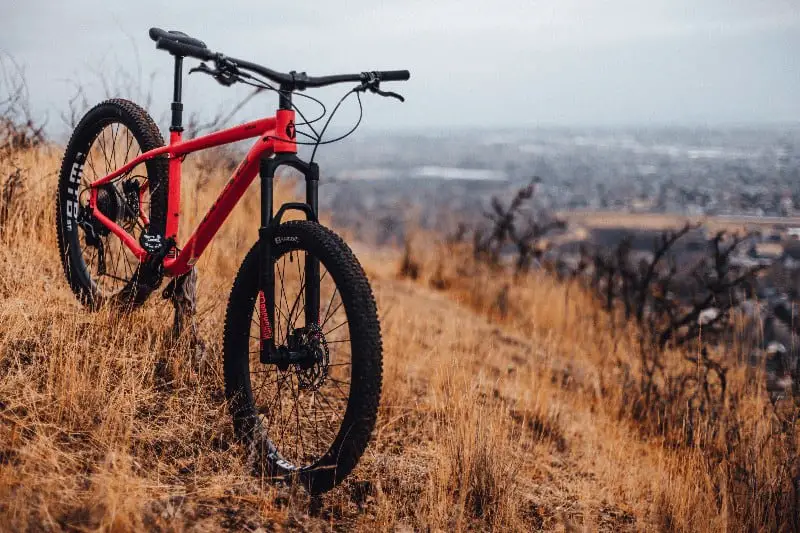 Black And Red Hardtail Mountain Bike On Brown Grass