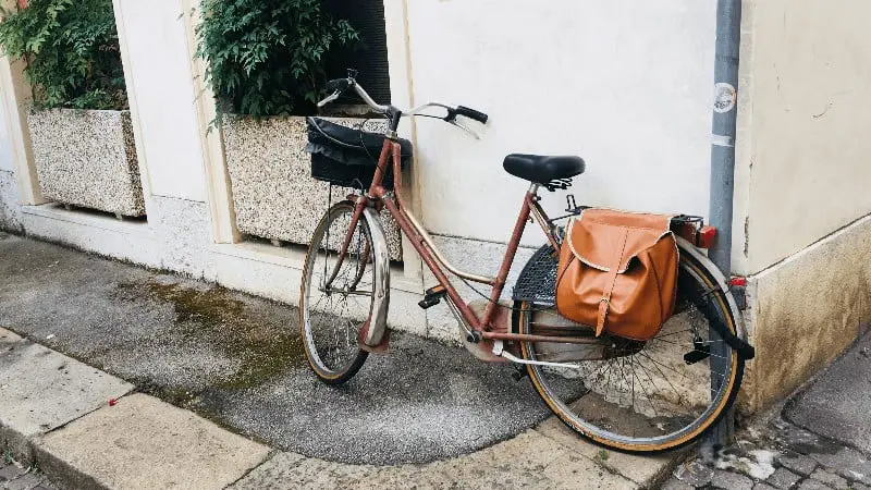 Stylish Leather Pannier Backpack