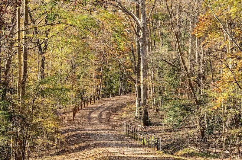 Gravel Road Terrain