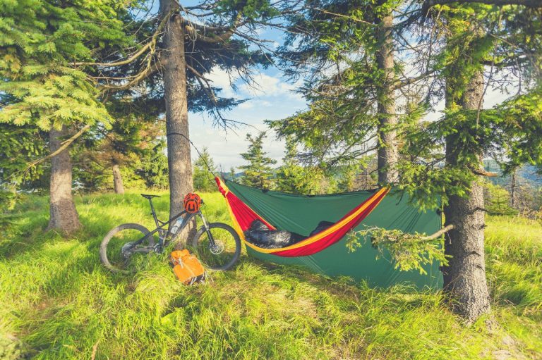 Camping with hammock in summer woods whilst bikepacking