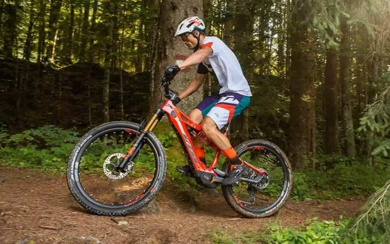 MTB rider in the forest