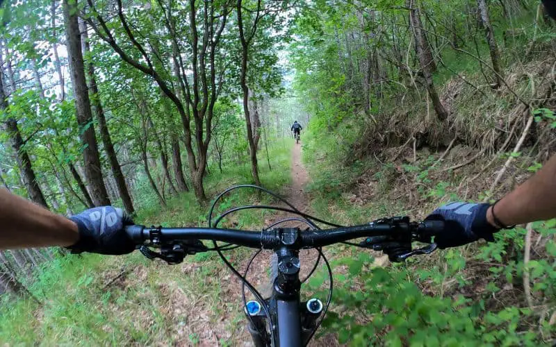 Mountain bike trail through forest