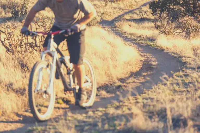 Flat mountain biking trail