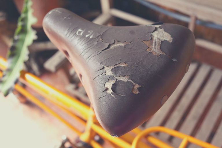 Old Bike Seat