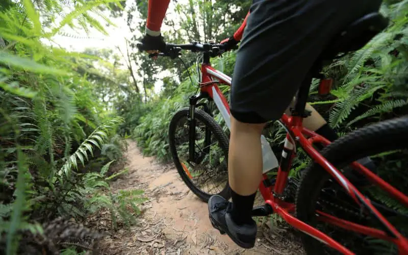 Cross country mountain bike rider in a tropical rainforest